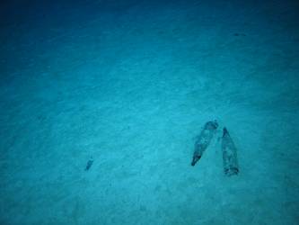 Two unexploded shells on seabed - possibly 4-inch